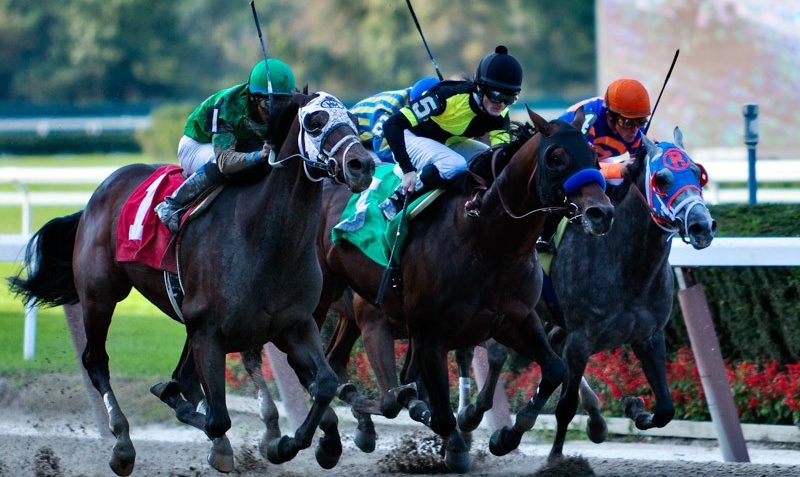 üçlü bahis ganyan